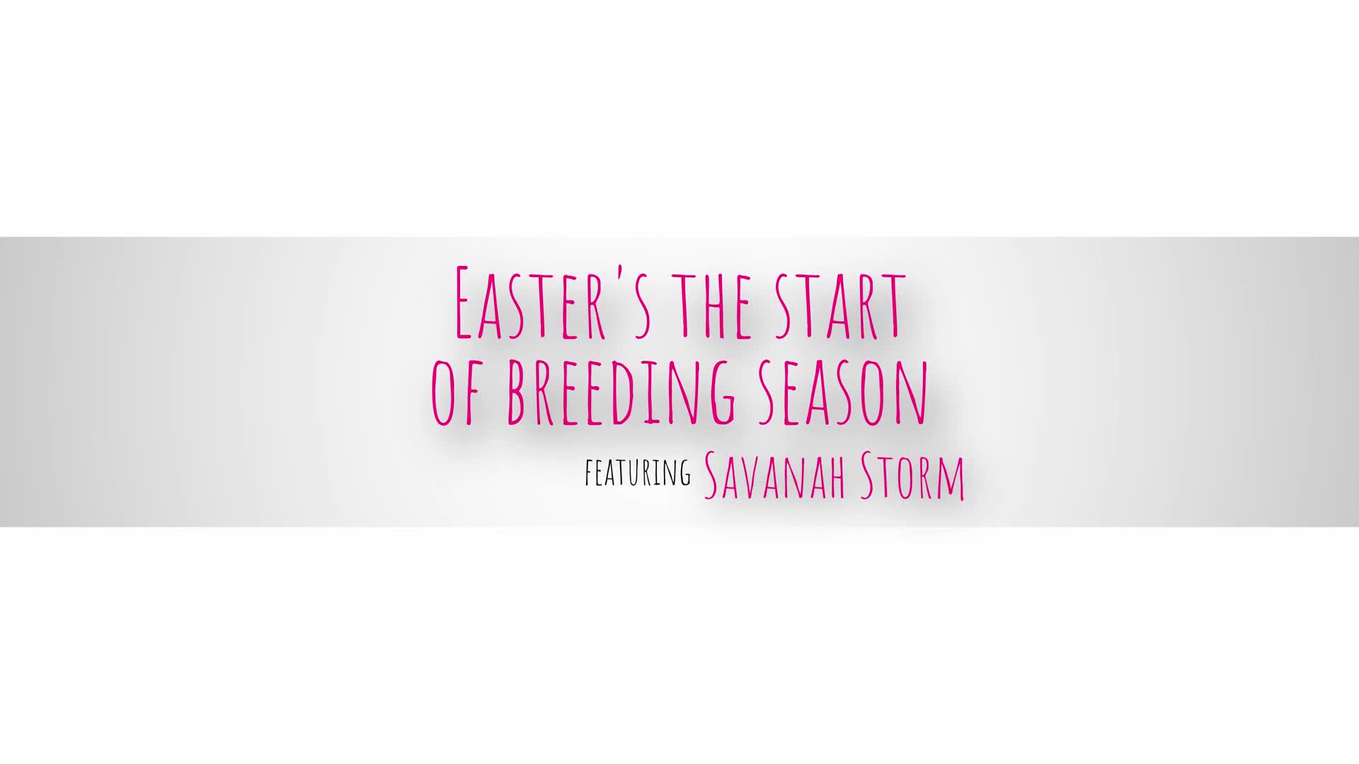 Easters The Start Of Breeding Season - ePornhubs