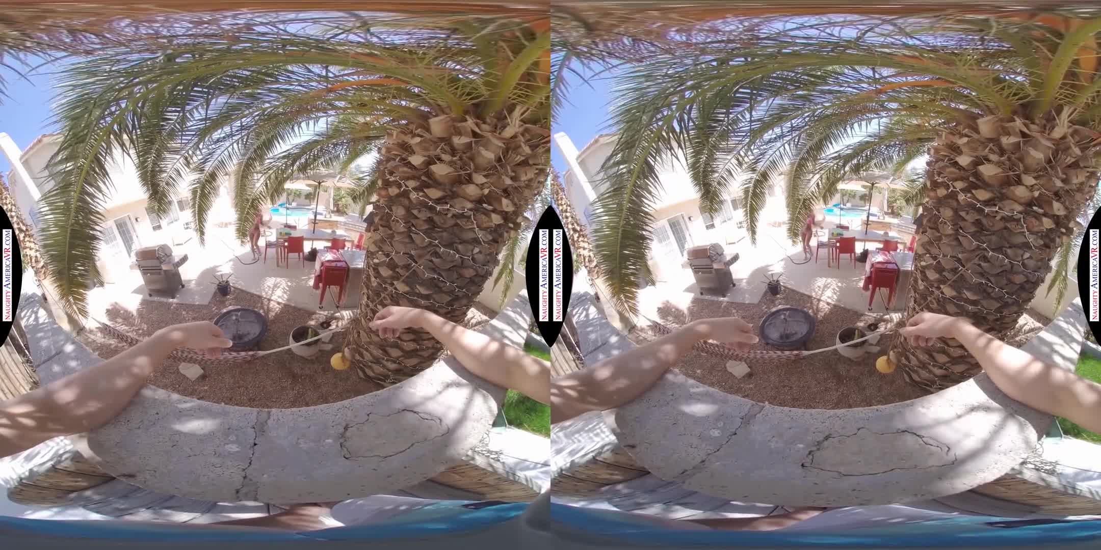 L1LY L@N3_N31GHB0R - ePornhubs