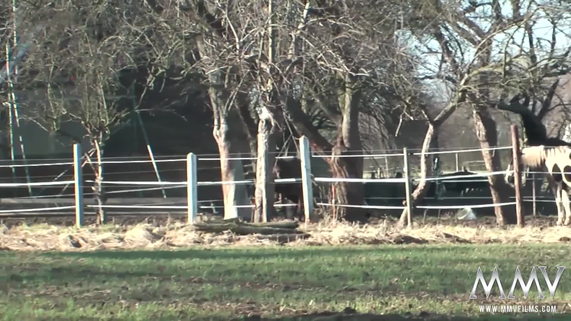 MMVFilms - Hardcore - Quick Barn Fuck - ePornhubs