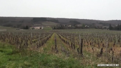 JacquieEtMichelTV – Rose, Threesome In The Vineyards For Rose