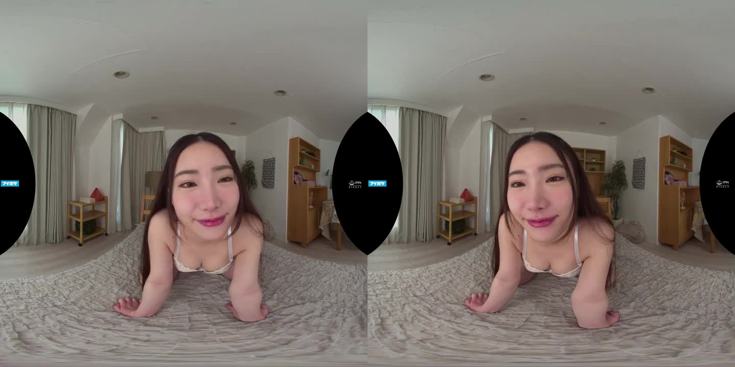 IP VR 336 A - ePornhubs