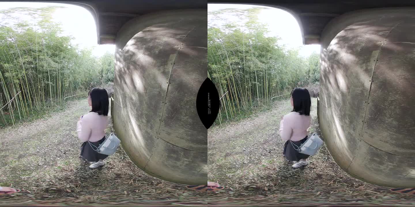 DS VR 1766 A - ePornhubs