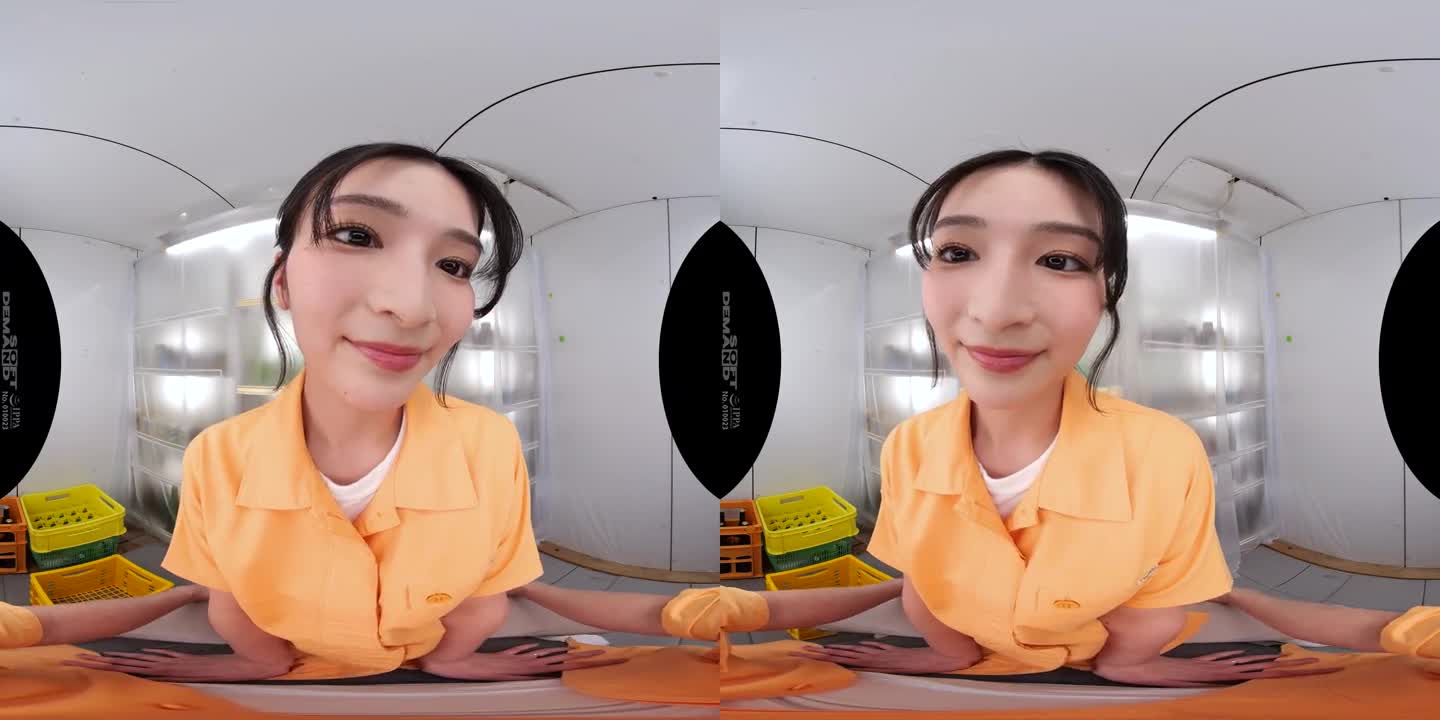 DS VR 1795 B - ePornhubs