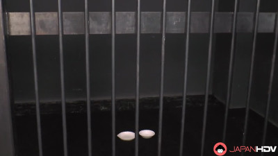 Amina Kiuchi – Slave Wife Leashed And Creampied