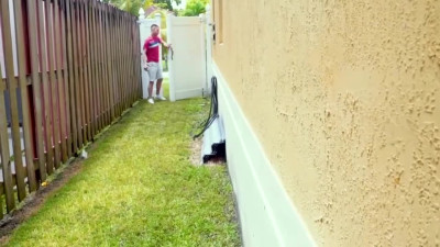 Paris The Inspiration Screwing The Lurker