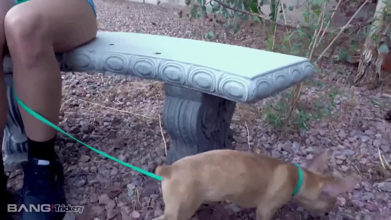 Jazmin Luv - Jazmin Luv Finds Her Lost Dog With Help Of A Stranger - ePornhubs