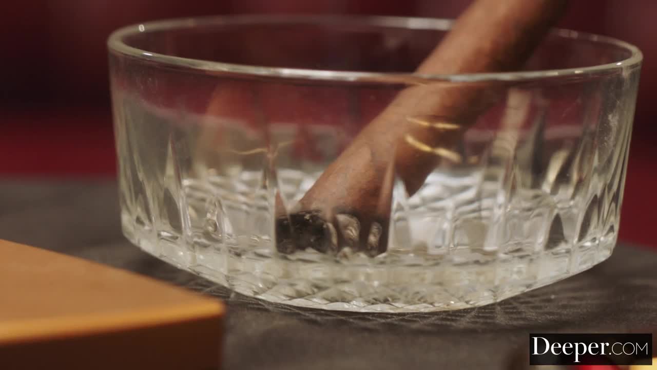 Daisy Pheonix - We have all we're looking for - ePornhubs