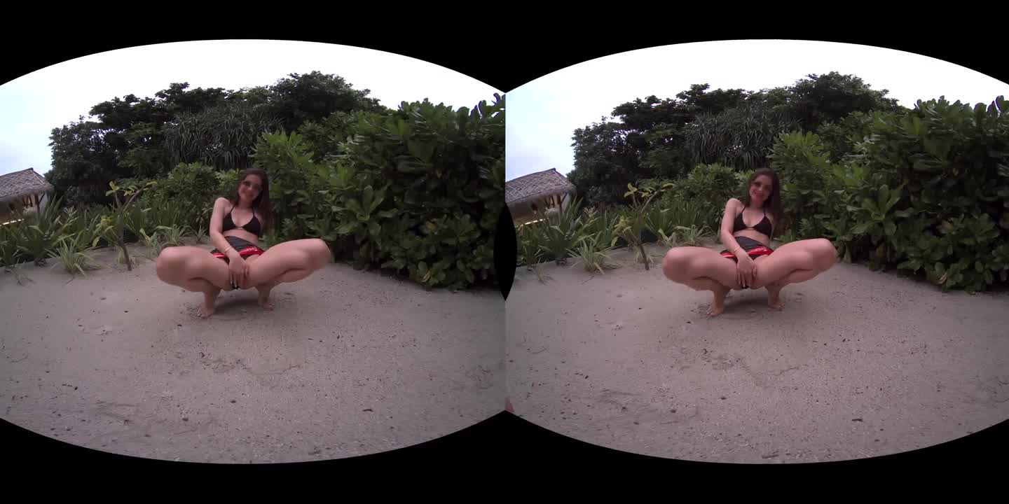 VR H0l1d@y - Little Caprice - ePornhubs