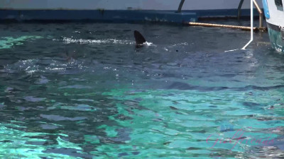 Cassidy makes a big splash on your last day in Hawaii