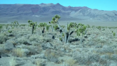 Desert Nymph Goddess.....