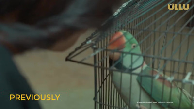 Tota Part 02 (2024) UllU Hindi Hot Web Series