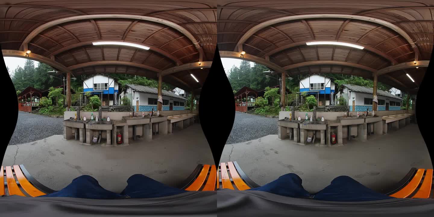 NH VR 219 - ePornhubs