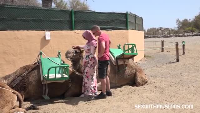SexWithMuslims - Muslim buxom hijab girl - ePornhubs
