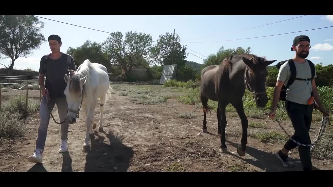 Luna Okko - E11 - She Rides It Like a Bo$$ - Luna's Journey - ePornhubs